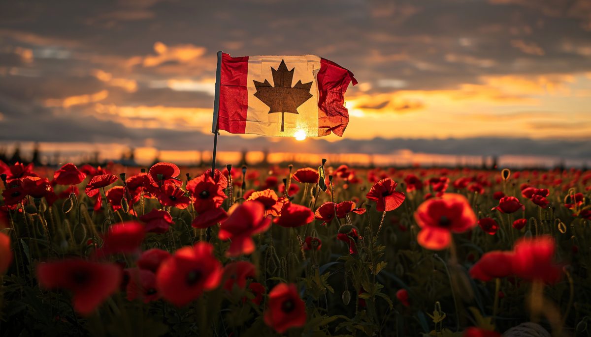 Board of Trustees: Remembrance Day Statement - École J. E. Lapointe School